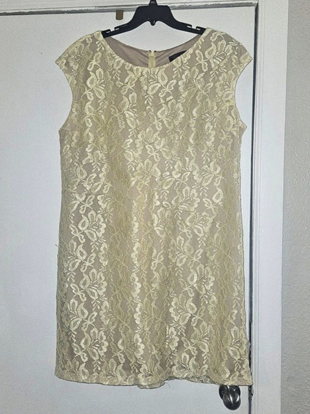 Dressbarn Pale Yellow Floral Lace Dress Size 24W